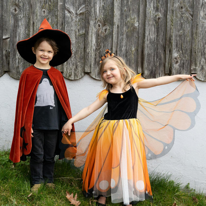 Butterfly Twirl Dress with Wings & Headband
