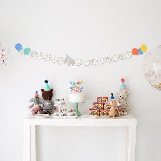 Party Animal - Birthday Party Supplies in a Box