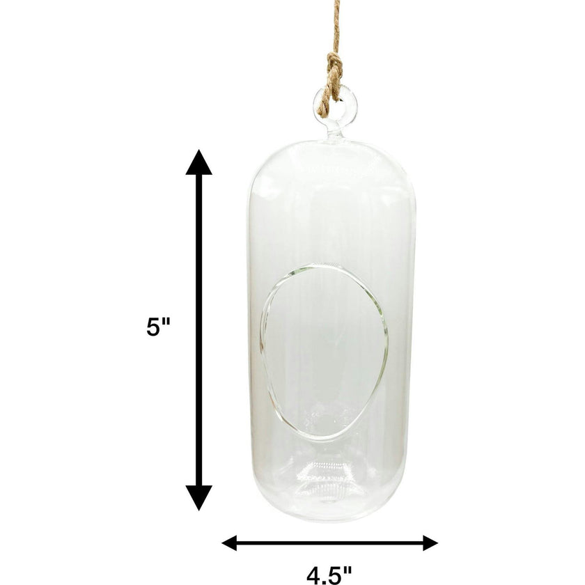 Glass Terrarium: Carefree Capsule - 2 Pack