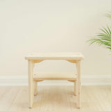 The Step Stool