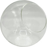 Glass Terrarium: Classic 5"