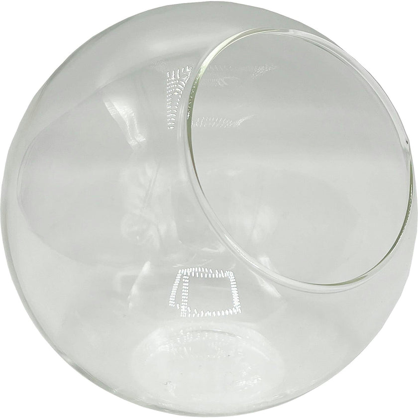 Glass Terrarium: Classic 5"