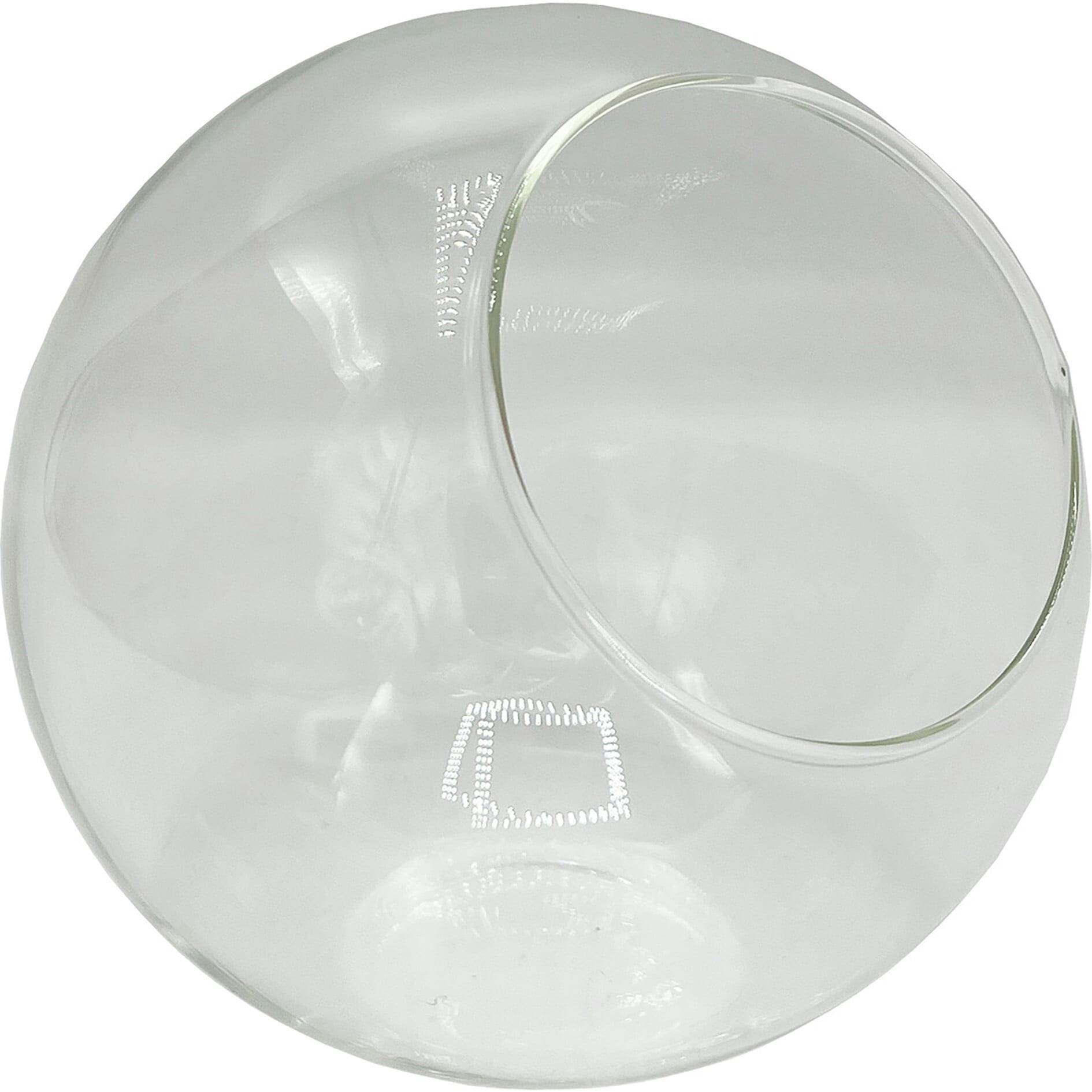 Glass Terrarium: Classic 5