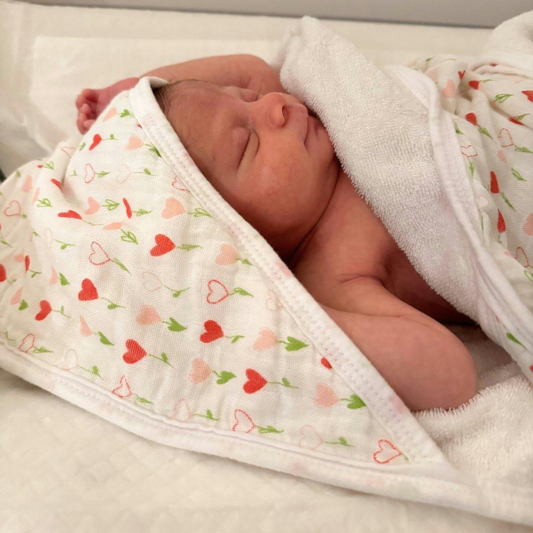 Hooded Towel in Darling Bows