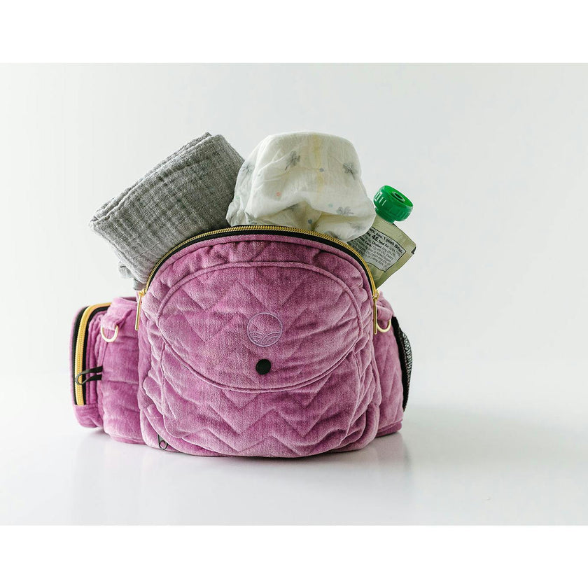 Tushbaby Hip Seat Carrier