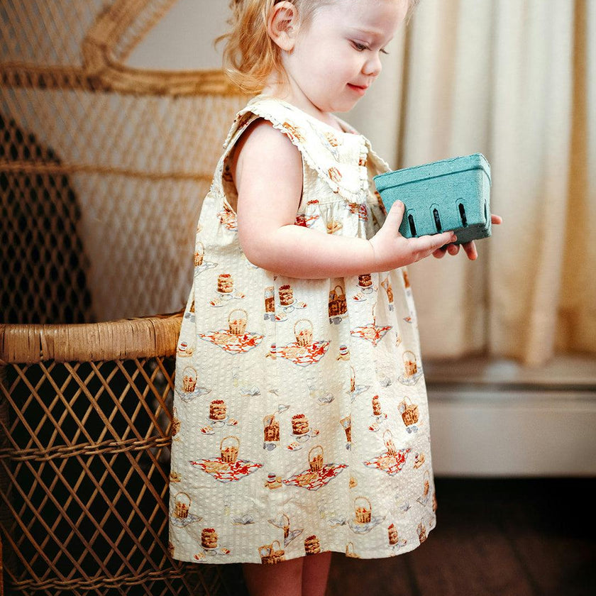 Picnic Ruffle Collar Dress