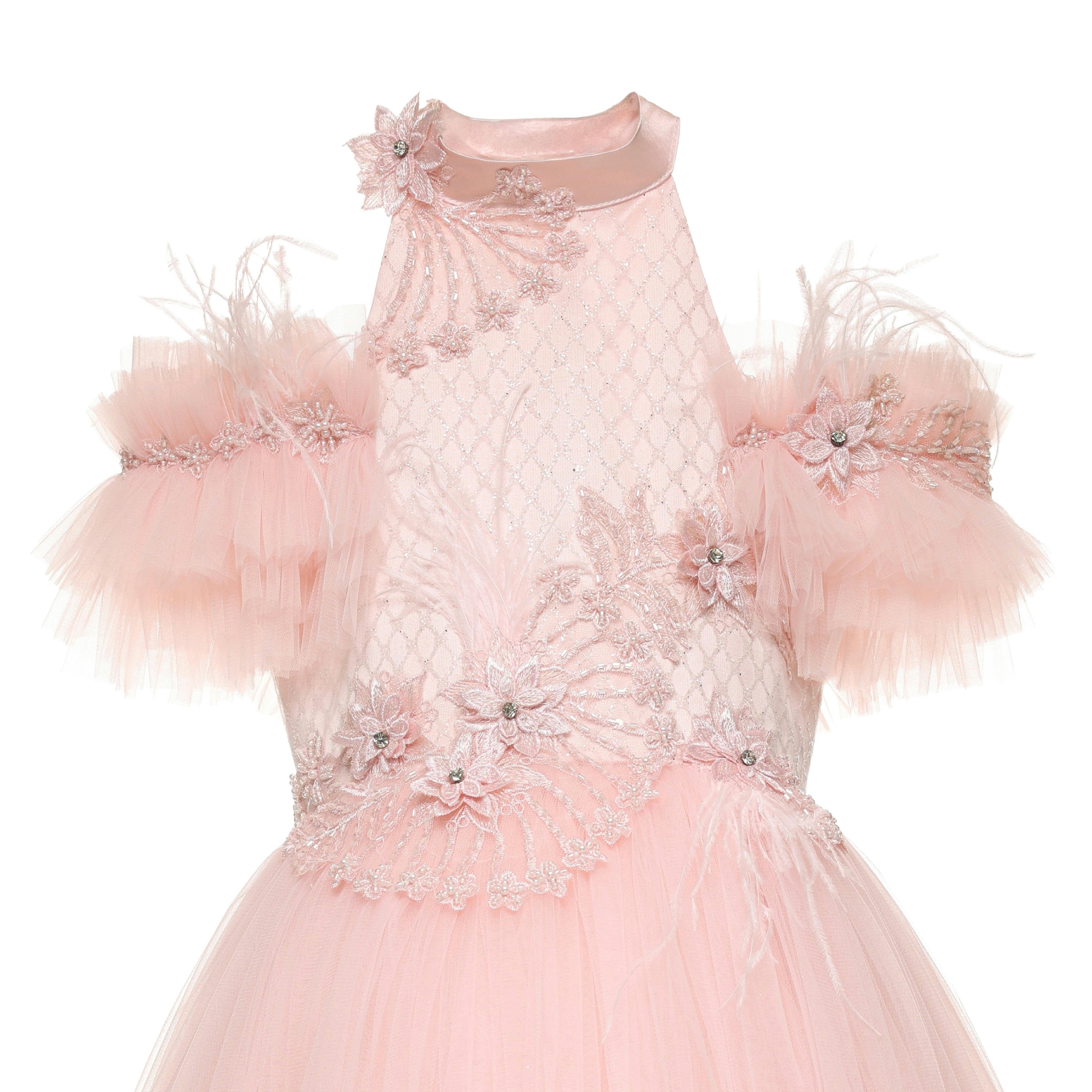 Pink Freya Lace Embellished Tulle Gown