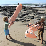 Kids Inflatable Noodle: Tino The Tiger Clay - 2pk