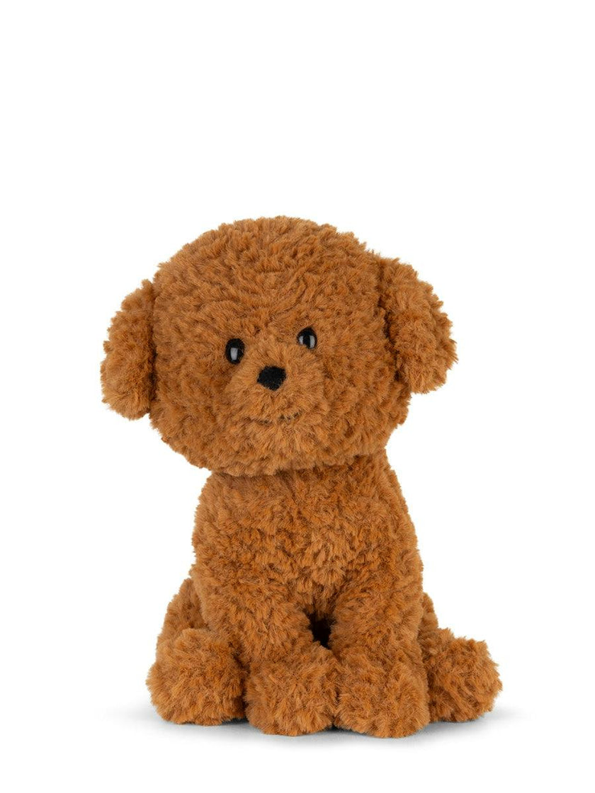 Stacy the Labradoodle in giftbox - 7"