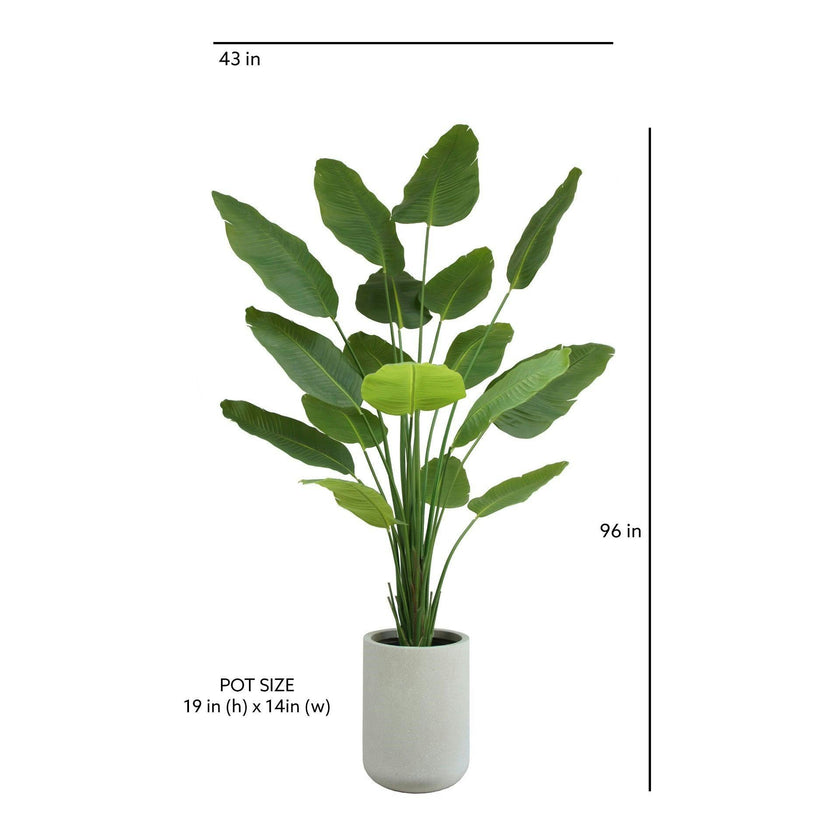 8' Bird of Paradise Tree in Modern Gray Planter