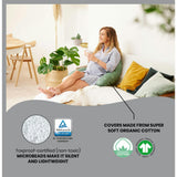 B.Love 2-in-1 Pregnancy Pillow