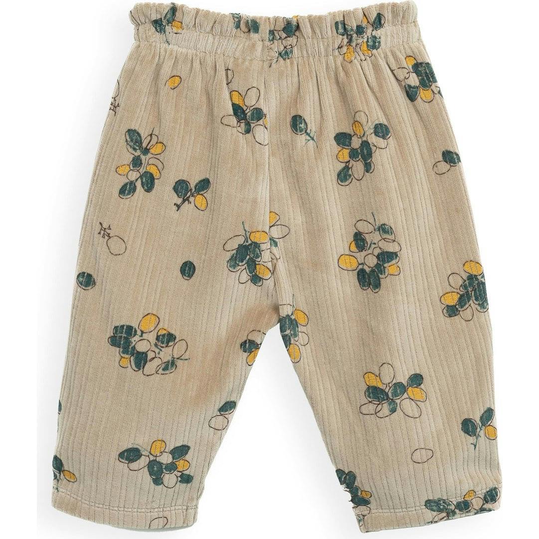 Allover Garden Velvet Pants