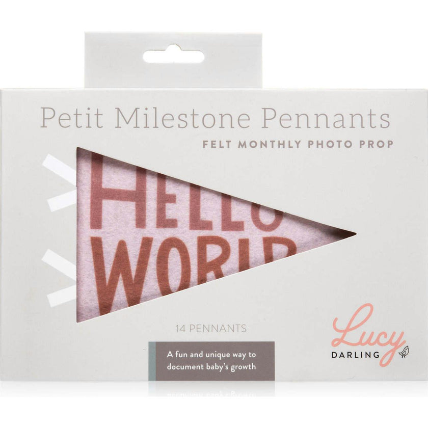Mountain Fields Petit Milestone Pennant
