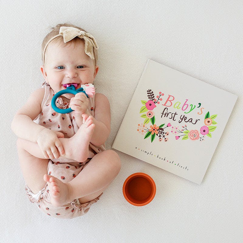 Little Artist Memory Baby Book and Blushing Meadow Petit Milestone Pennant Set