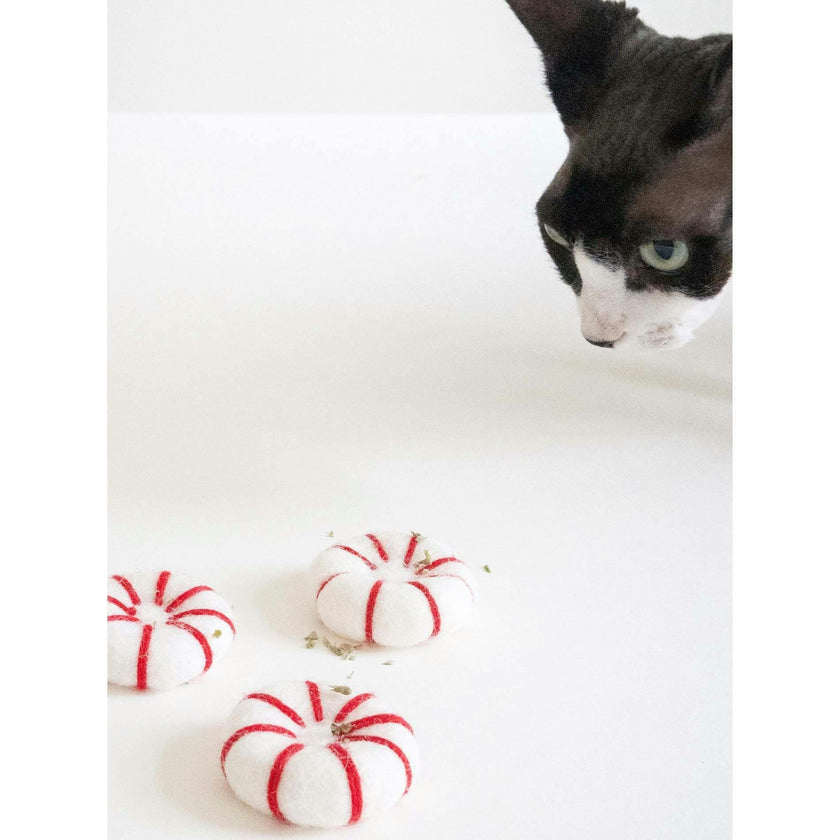 KITTY PEPPERMINT