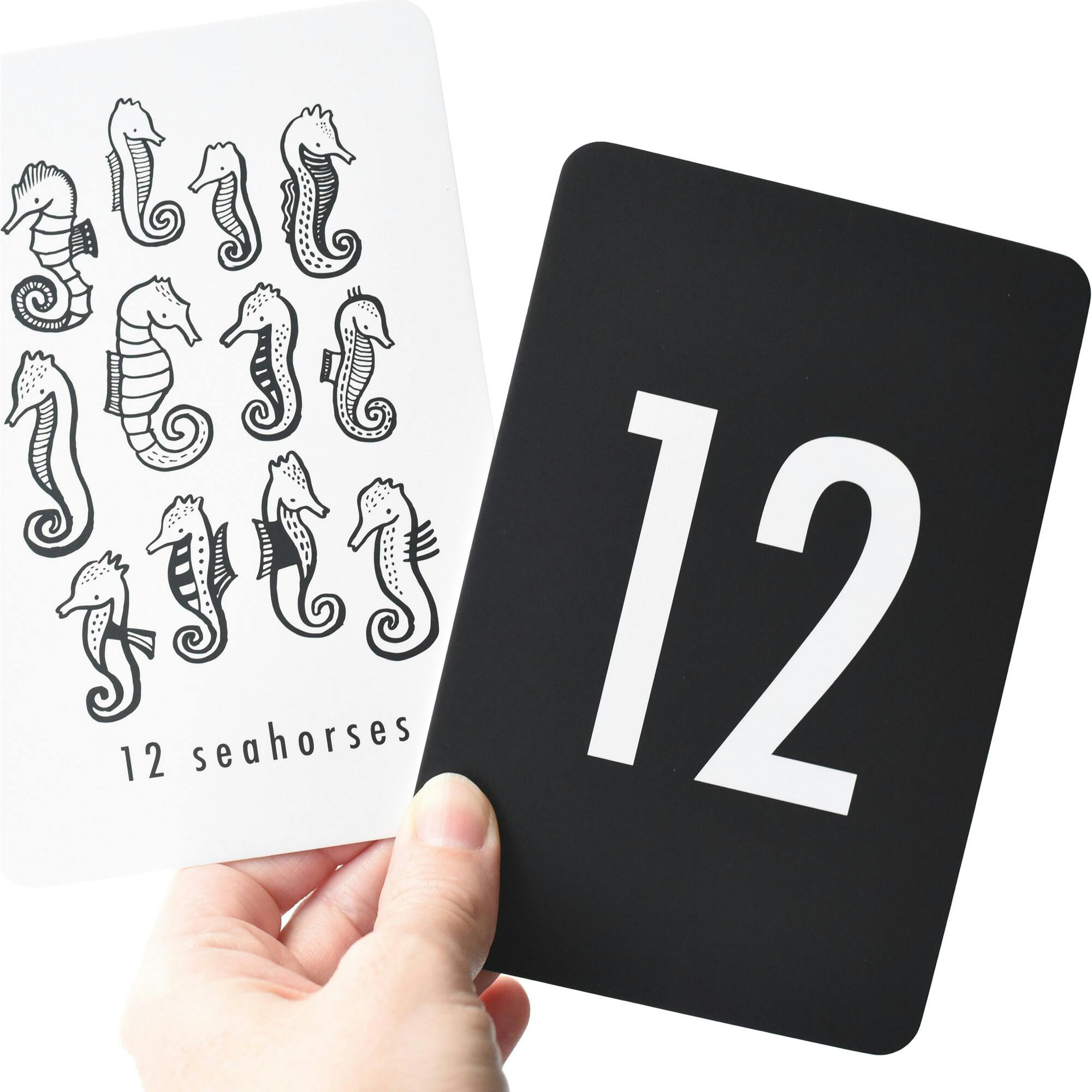 Nature Number Cards