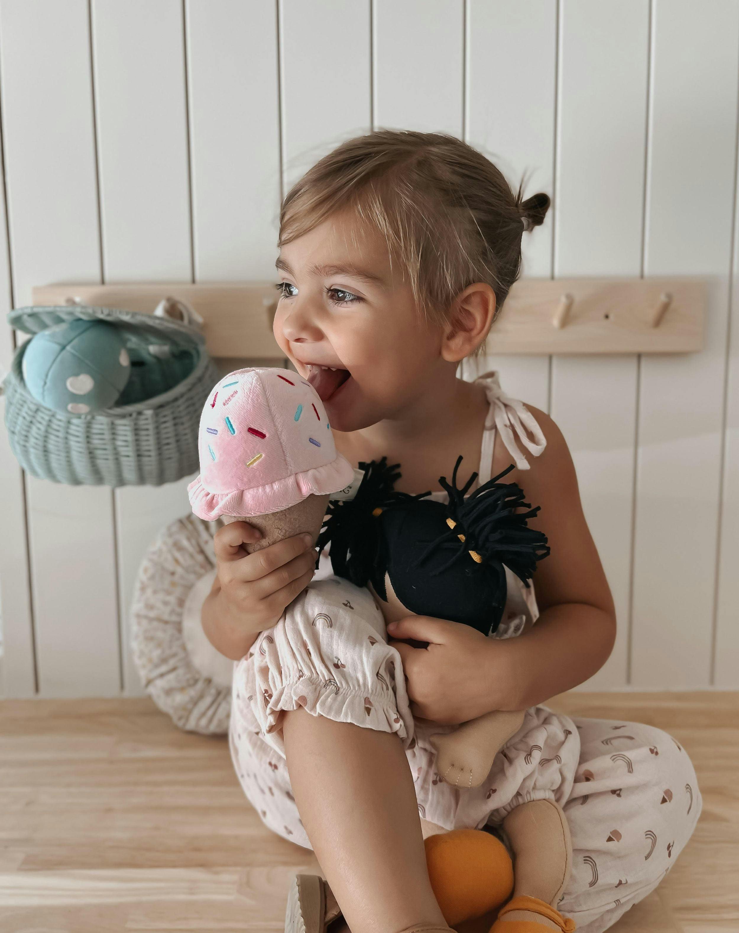Ice Cream Rattle