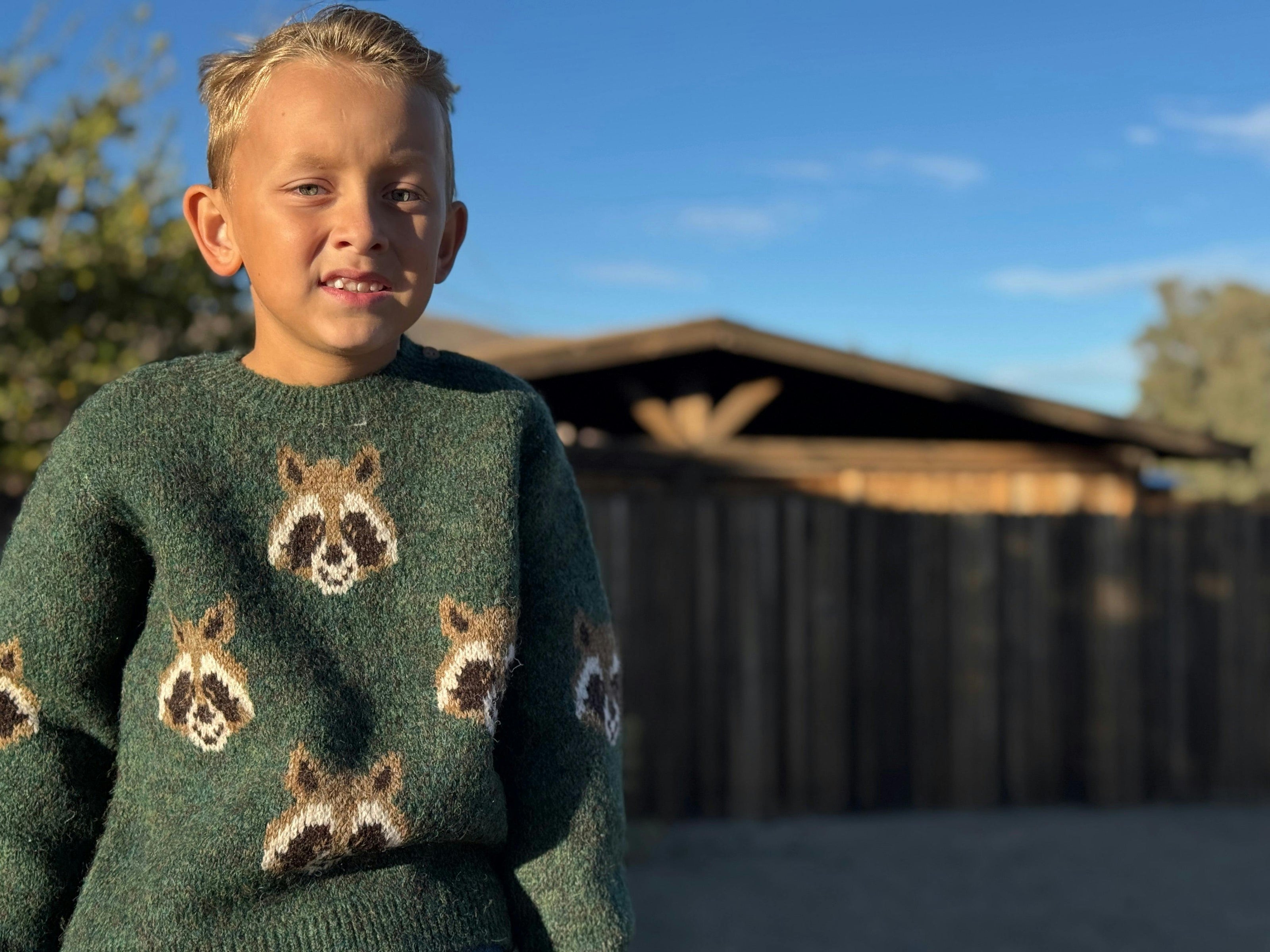WOODY racoon sweater