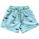 Boy's Swim Shorts