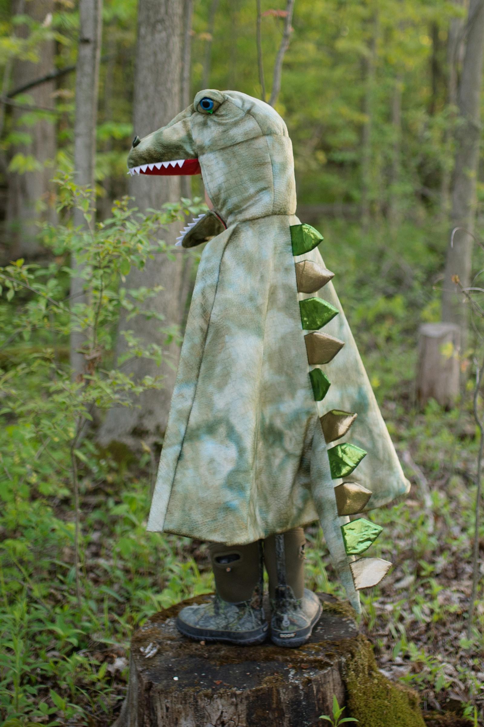 Grandasaurus T-Rex Cape and Claws Size 4-6