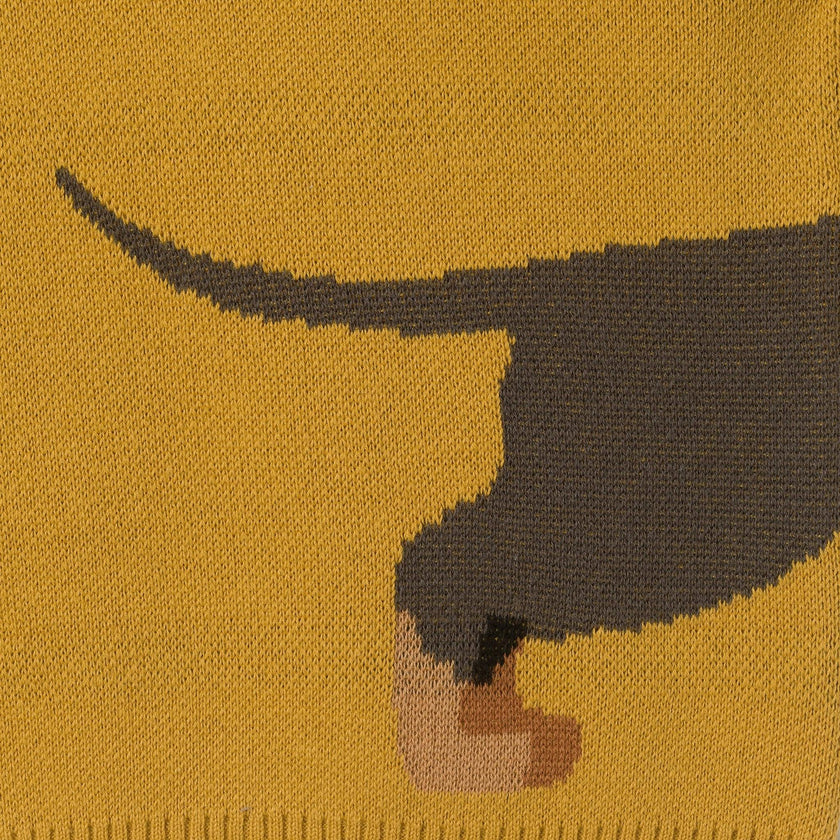 Graphic Sweater | Hot Diggity Dog