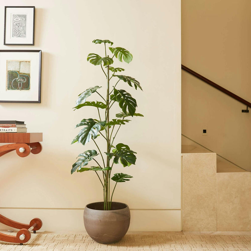 artificial monstera tree 60" Artificial Monstera Tree