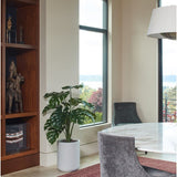 4' Monstera Plant in Modern Gray Planter