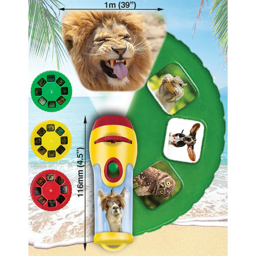 Brainstorm Toys: Funny Animals Torch & Projector