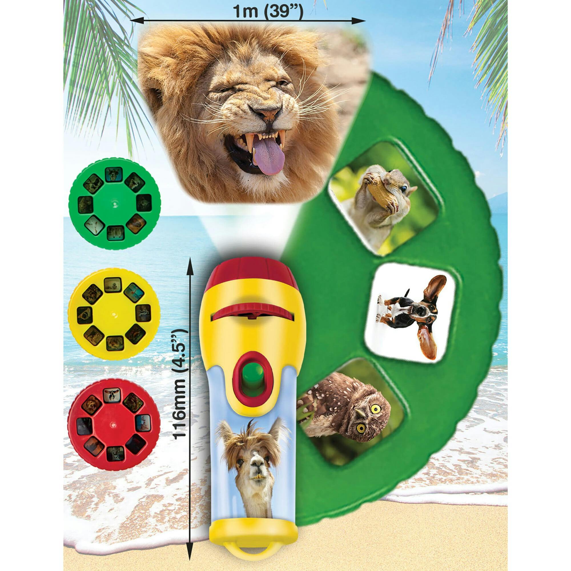 Brainstorm Toys: Funny Animals Torch & Projector