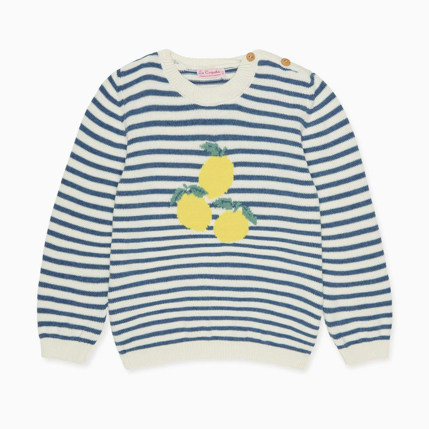 Blue Stripe Limon Cotton Boy Jumper