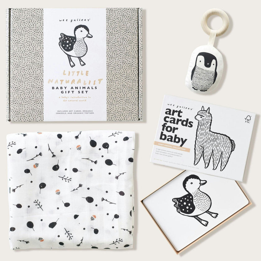 Gift Set Baby Animal s