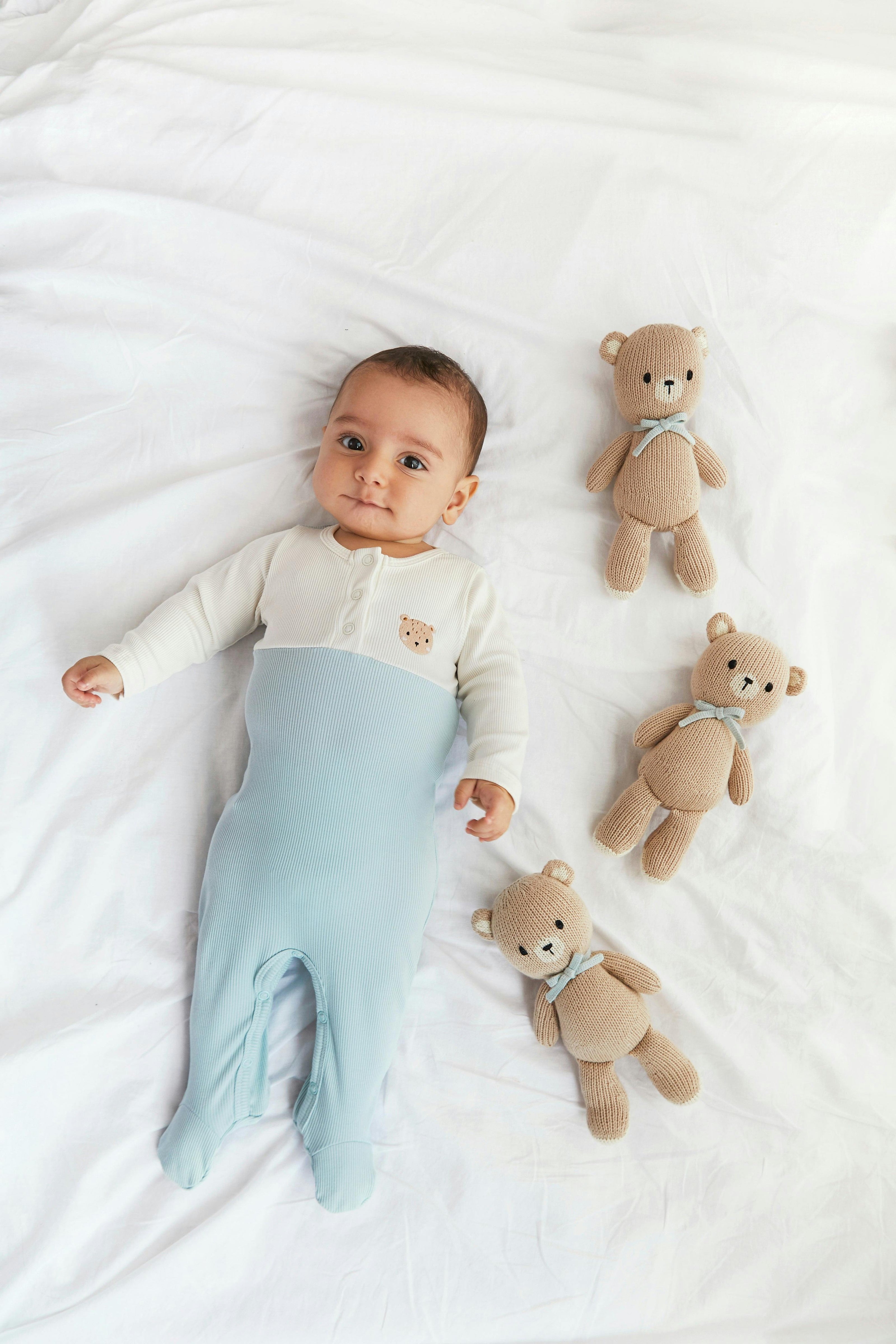 The Baby bear 8.5