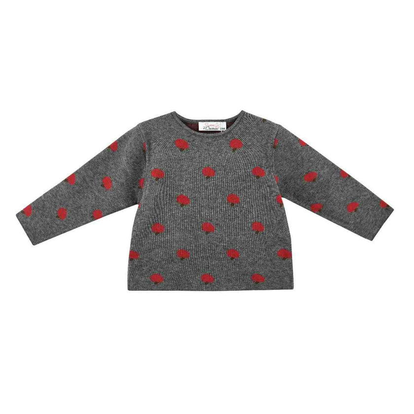 Gray Apple Knit Set