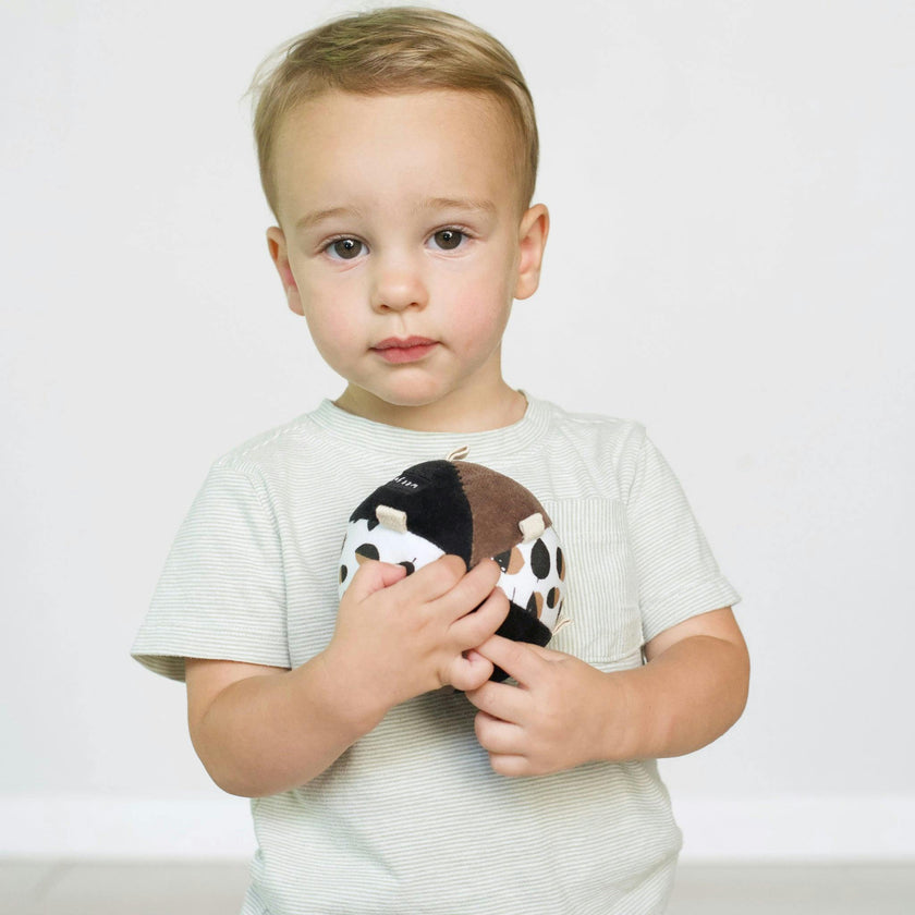 Taggy Ball with Rattle