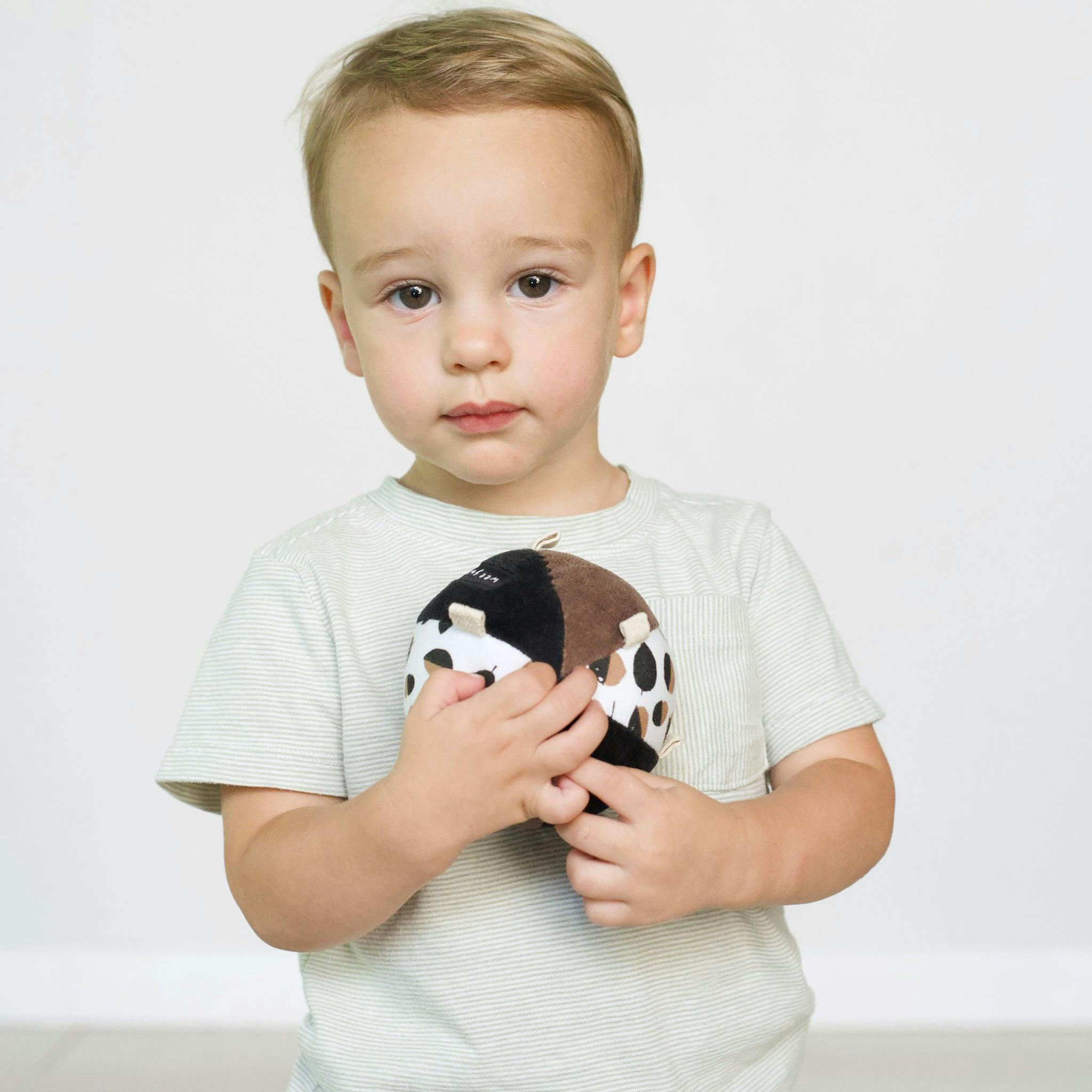 Taggy Ball with Rattle