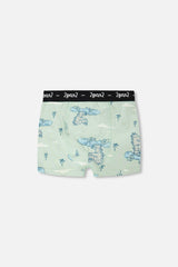 Organic Cotton Boxer