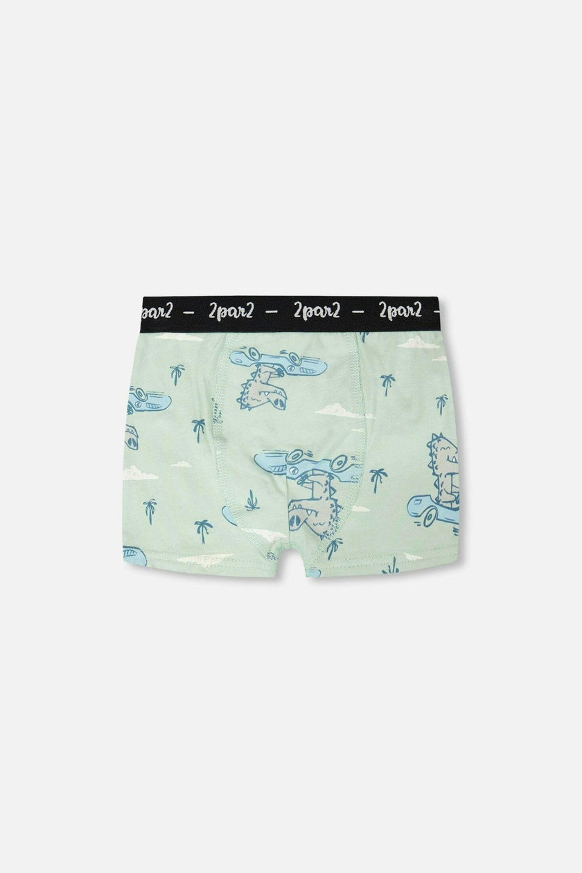 Organic Cotton Boxer