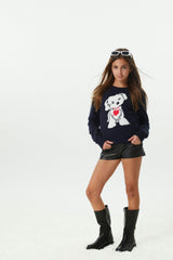 Tiegan Navy Puppy Graphic Graphic Sweater