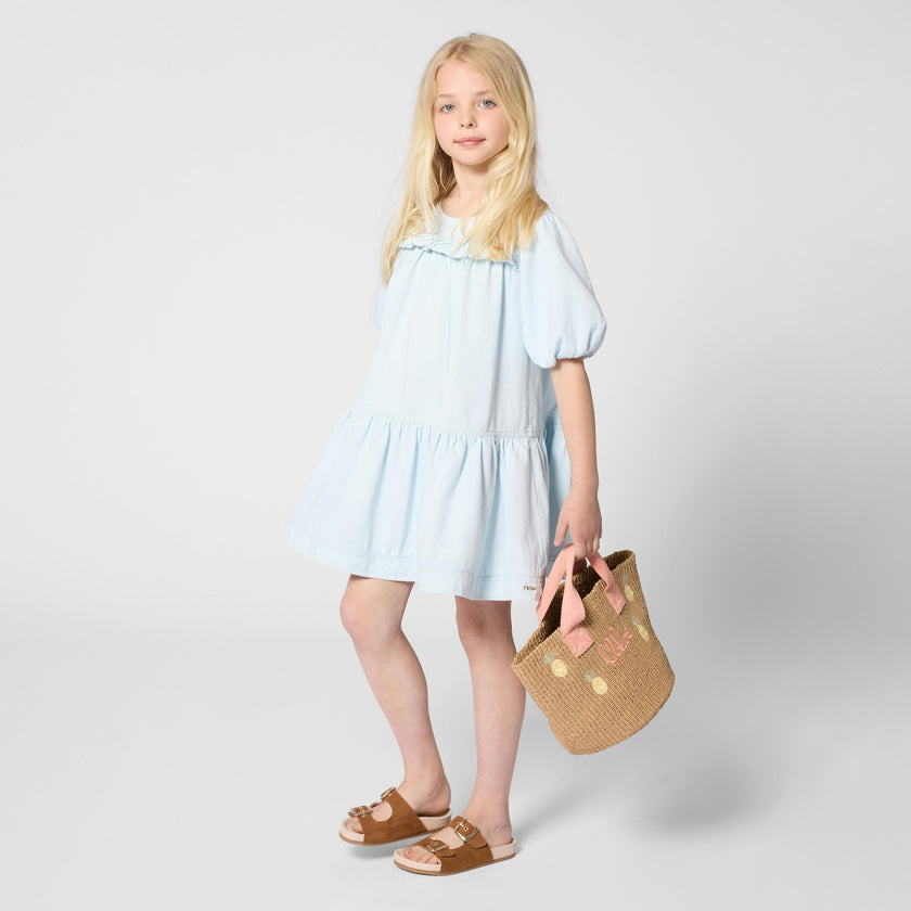 Denim Ruffled Flared Dress