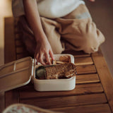 3 Compartment Leakproof Lunchbox | Fern Plaid