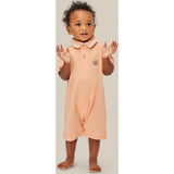 Pete Onepiece