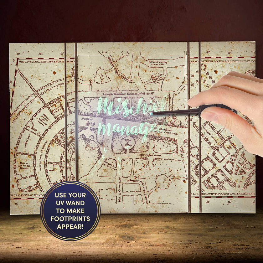 Harry Potter: Diary - Mischief Managed