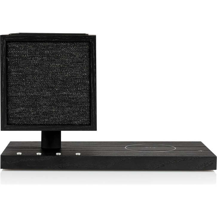 Revive Speaker