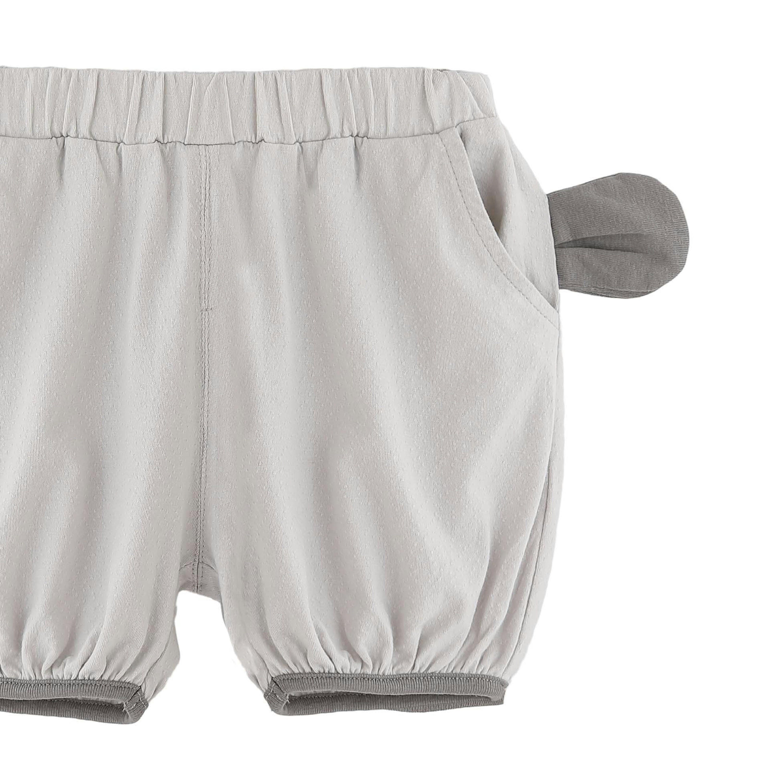 Gray Bear Ear Set