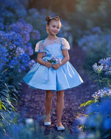 Celestial Butterfly Blue Sequin Tulle Birthday Dress for Girls