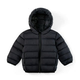 Black Down Quilted Hooded Puffer Jacket