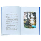 Winnie the Pooh Leather Bound Classic Children's Book
