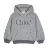 Gray Logo Hooded Sweatshirt