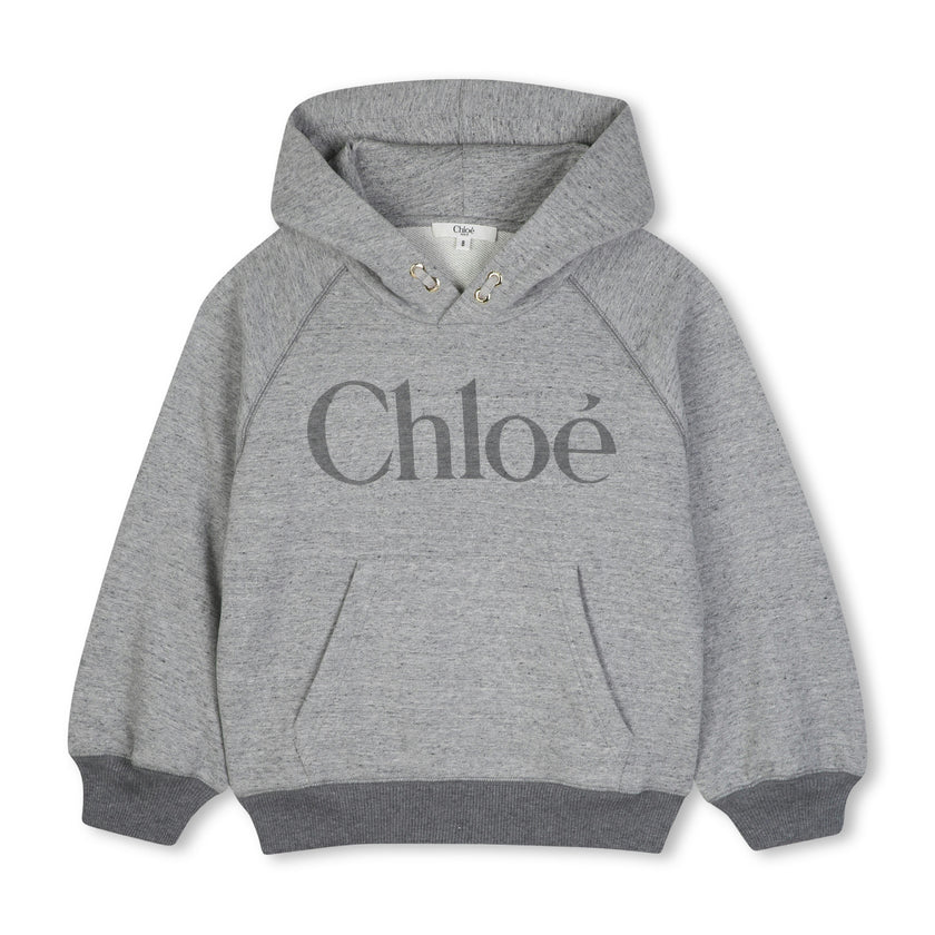 Gray Logo Hooded Sweatshirt