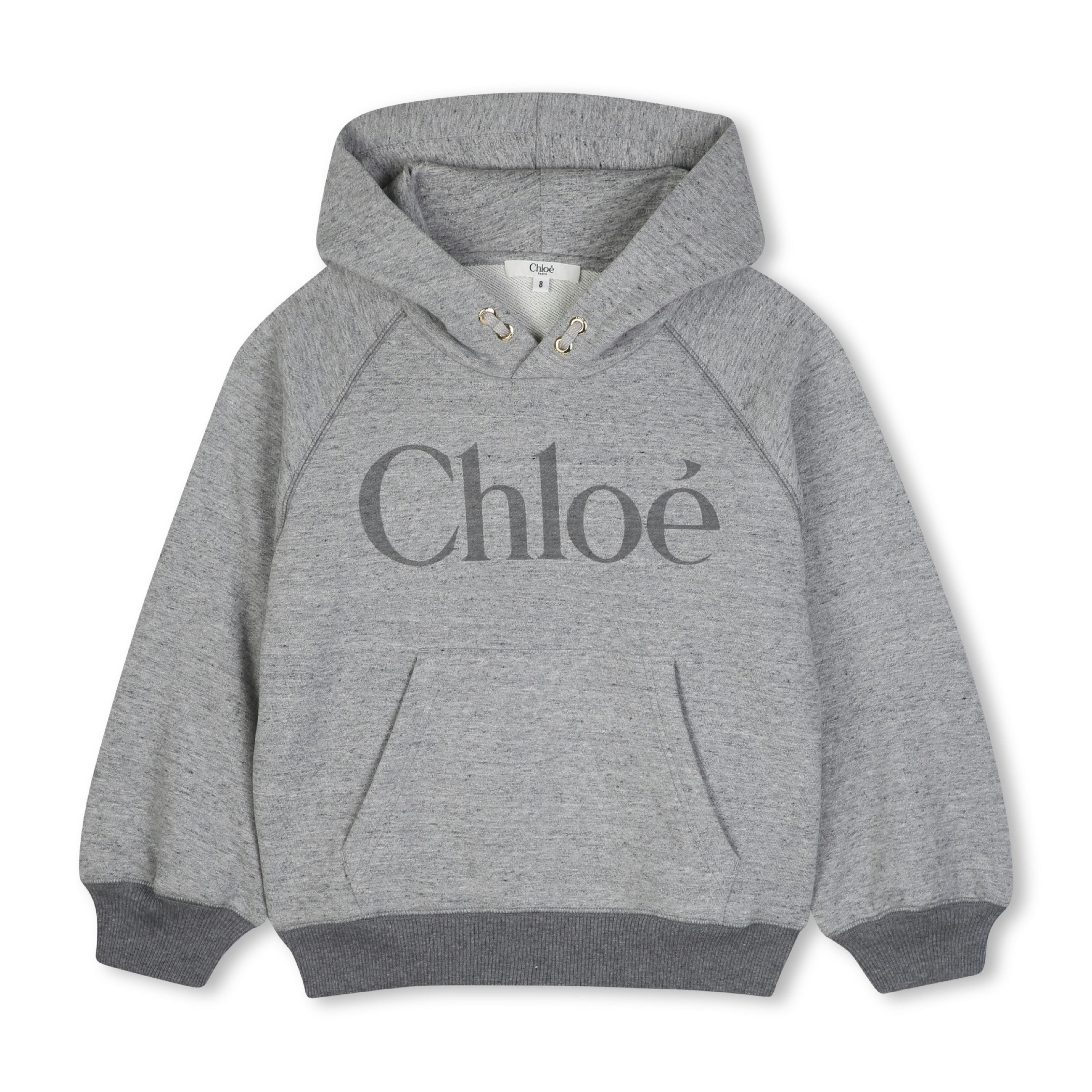 Gray Logo Hooded Sweatshirt